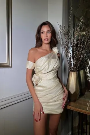 Платье-мини с розами